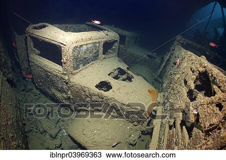 "Bedford OY, truck on the shipwreck of the SS Thistlegorm, Red Sea, Shaab Ali, Sinai Peninsula, Egypt, Africa" View Large Photo Image Stock Image - "Bedford OY, truck on the shipwreck of the SS Thistlegorm, Red Sea, Shaab Ali, Sinai Peninsula, Egypt, Africa". Fotosearch