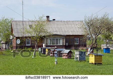 "Beehives in front of a house, Rudiskes, Lithuania, Baltic States, Europe" View Large Photo Image Stock Image - "Beehives in front of a house, Rudiskes, Lithuania, Baltic States, Europe". Fotosearch