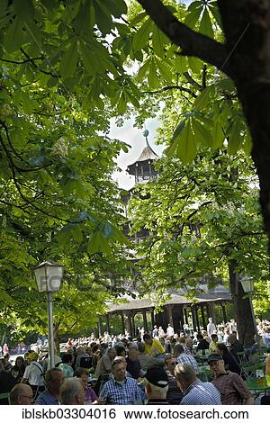 "Beer garden at the Chinese Tower with blossoming chestnut trees, Englischer Garten, Munich, Upper Bavaria, Bavaria, Germany, Europe" View Large Photo Image Stock Photograph - "Beer garden at the Chinese Tower with blossoming chestnut trees, Englischer Garten, Munich, Upper Bavaria, Bavaria, Germany, Europe". Fotosearch