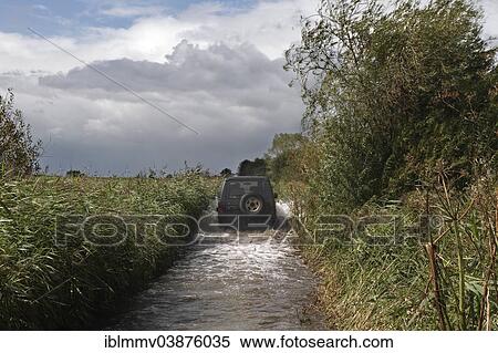 "Beginning of a storm surge on the lower Weser River, Strohauser Plate, Lower Saxony, Germany, Europe" View Large Photo Image Stock Photography - "Beginning of a storm surge on the lower Weser River, Strohauser Plate, Lower Saxony, Germany, Europe". Fotosearch
