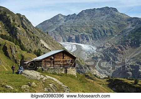 "Belalp hiking area, view of the Aletsch Glacier, with mountains Strahlhorn, Eggishorn and Bettmerhorn, Bernese Alps, Canton of Valais, Switzerland, Europe" View Large Photo Image Stock Photograph - "Belalp hiking area, view of the Aletsch Glacier, with mountains Strahlhorn, Eggishorn and Bettmerhorn, Bernese Alps, Canton of Valais, Switzerland, Europe". Fotosearch