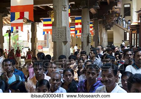 "Believers are queuing at the Buddhist shrine, Sri Dalada Maligawa, Temple of the Tooth in Kandy, Kandy, Sri Lanka, Asia" View Large Photo Image Stock Image - "Believers are queuing at the Buddhist shrine, Sri Dalada Maligawa, Temple of the Tooth in Kandy, Kandy, Sri Lanka, Asia". Fotosearch