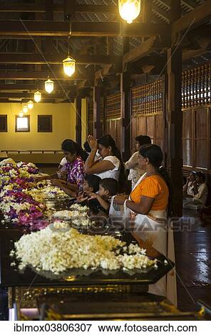 "Believers praying in the Temple of the Sacred Tooth Relic, Sri Dalada Maligawa, Buddhist temple, Kandy, Central Province, Sri Lanka, Asia" View Large Photo Image Stock Photo - "Believers praying in the Temple of the Sacred Tooth Relic, Sri Dalada Maligawa, Buddhist temple, Kandy, Central Province, Sri Lanka, Asia". Fotosearch