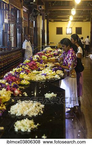 "Believers praying in the Temple of the Sacred Tooth Relic, Sri Dalada Maligawa, Buddhist temple, Kandy, Central Province, Sri Lanka, Asia" View Large Photo Image Stock Photo - "Believers praying in the Temple of the Sacred Tooth Relic, Sri Dalada Maligawa, Buddhist temple, Kandy, Central Province, Sri Lanka, Asia". Fotosearch