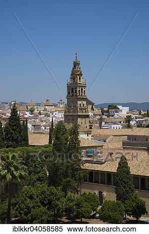 "Bell tower of the Mezquita de Cordoba, Cordoba, Andalucia, Spain, Europe" View Large Photo Image Stock Photography - "Bell tower of the Mezquita de Cordoba, Cordoba, Andalucia, Spain, Europe". Fotosearch