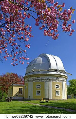 Stock Image - "Bergedorf Observatory with flowering fruit trees, Hamburg, Hamburg, Germany, Europe". Fotosearch