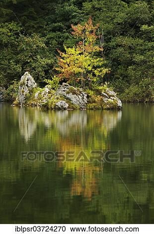 "Berglsteinersee Lake in autumn, Kramsach, Kufstein District, North Tirol, Tirol, Austria, Europe" View Large Photo Image Stock Image - "Berglsteinersee Lake in autumn, Kramsach, Kufstein District, North Tirol, Tirol, Austria, Europe". Fotosearch