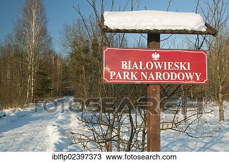 "Bialowieski Park Narodowy"""", entrance sign in snow, Bialowieza Special Protected Area, Bialowieza National Park, Podlaskie Voivodeship, Poland, Europe" View Large Photo Image Stock Image - "Bialowieski Park Narodowy"""", entrance sign in snow, Bialowieza Special Protected Area, Bialowieza National Park, Podlaskie Voivodeship, Poland, Europe". Fotosearch