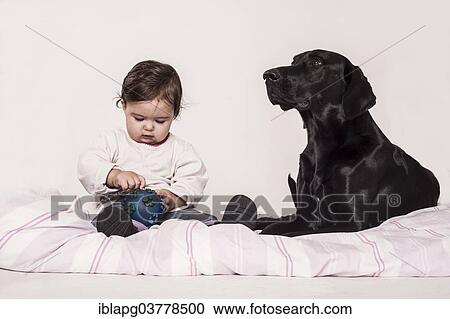 Stock Image - Big black mongrel lying next to a small child. Fotosearch