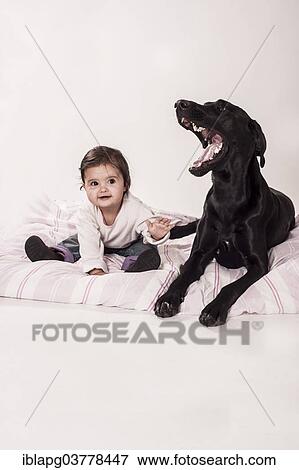 Big black mongrel lying next to a small child View Large Photo Image Stock Photo - Big black mongrel lying next to a small child. Fotosearch