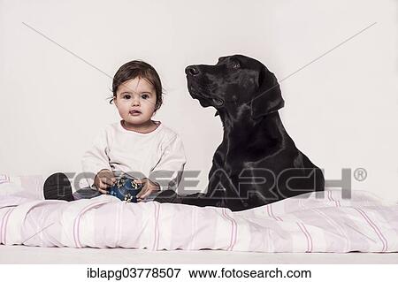 Big black mongrel lying next to a small child View Large Photo Image Stock Photo - Big black mongrel lying next to a small child. Fotosearch