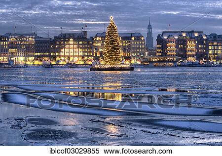 "Binnenalster or Inner Alster Lake with a Christmas tree and Jungfernstieg, Hamburg Neustadt, Hamburg, Hamburg, Germany, Europe" View Large Photo Image Stock Photography - "Binnenalster or Inner Alster Lake with a Christmas tree and Jungfernstieg, Hamburg Neustadt, Hamburg, Hamburg, Germany, Europe". Fotosearch