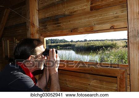 "Bird watcher in bird watching hut, Parc Naturel Regional de Brenne, Brenne Regional Natural Park, Berry, Indre, France, Europe" View Large Photo Image Stock Image - "Bird watcher in bird watching hut, Parc Naturel Regional de Brenne, Brenne Regional Natural Park, Berry, Indre, France, Europe". Fotosearch