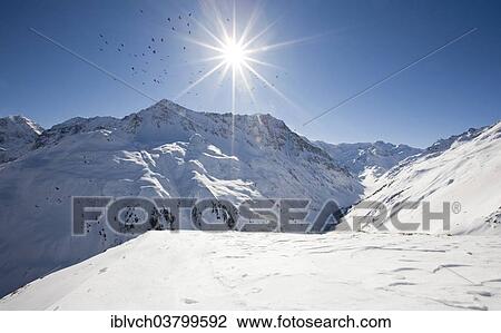 "Birds circling the sun, winter landscape in the Pitztal, Taschachferner, North Tyrol, Austria, Europe" View Large Photo Image Stock Image - "Birds circling the sun, winter landscape in the Pitztal, Taschachferner, North Tyrol, Austria, Europe". Fotosearch