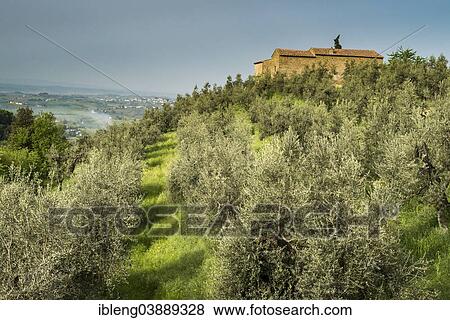 "Birthplace of Leonardo da Vinci, Anchiano, Vinci, Tuscany, Italy, Europe" View Large Photo Image Stock Photo - "Birthplace of Leonardo da Vinci, Anchiano, Vinci, Tuscany, Italy, Europe". Fotosearch