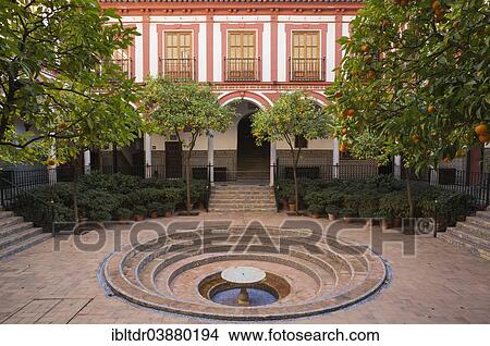 Picture - "Bitter or Seville Orange trees (Citrus x aurantium) in the courtyard of the Hospital de los Venerables Sacerdotes, Santa Cruz quarter, Seville, Seville province, Andalusia, Spain, Europe". Fotosearch