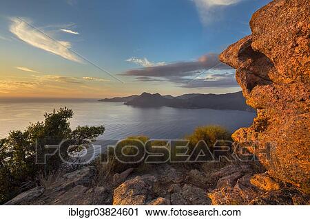 "Bizarre rock erosions at the Gulf of Porto in the evening light, Calanche, Les Calanches de Piana, Corse-du-Sud, Corsica, France, Europe" View Large Photo Image Stock Image - "Bizarre rock erosions at the Gulf of Porto in the evening light, Calanche, Les Calanches de Piana, Corse-du-Sud, Corsica, France, Europe". Fotosearch