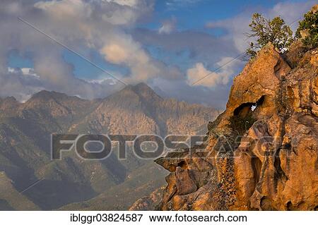 "Bizarre rock erosions in the evening light, Calanche, Les Calanches de Piana, Corse-du-Sud, Corsica, France, Europe" View Large Photo Image Stock Photo - "Bizarre rock erosions in the evening light, Calanche, Les Calanches de Piana, Corse-du-Sud, Corsica, France, Europe". Fotosearch