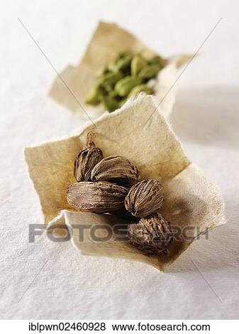 Black and green cardomom seeds View Large Photo Image Stock Photo - Black and green cardomom seeds. Fotosearch