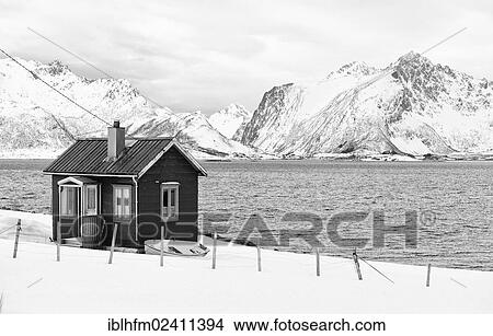 Picture - "Black and white image of a secluded fisherman's house on a winter fjord in the Lofoten Islands in northern Norway, Moskenesoeya, Lofoten, Nordland, Norway, Europe". Fotosearch
