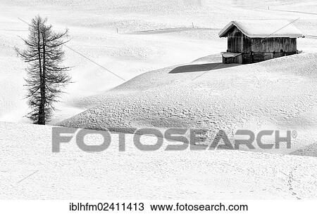 "Black and white image of a winter landscape with a wooden hut and a conifer, Seiser Alm, Dolomites, South Tyrol, Italy, Europe" View Large Photo Image Stock Image - "Black and white image of a winter landscape with a wooden hut and a conifer, Seiser Alm, Dolomites, South Tyrol, Italy, Europe". Fotosearch