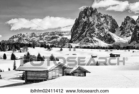 "Black and white image of the winter landscape of the Dolomites with a wooden hut at the front and the peak of Sassolungo Mountain at the rear, Seiser Alm, Dolomites, Alto Adige, Italy, Europe" View Large Photo Image Stock Image - "Black and white image of the winter landscape of the Dolomites with a wooden hut at the front and the peak of Sassolungo Mountain at the rear, Seiser Alm, Dolomites, Alto Adige, Italy, Europe". Fotosearch