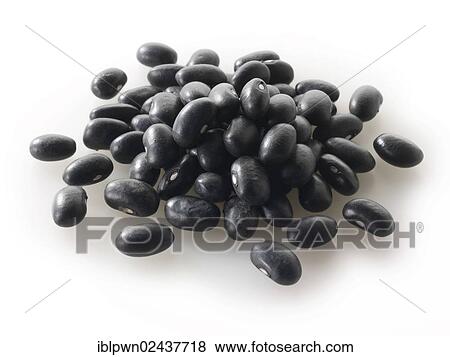 Black beans View Large Photo Image Stock Photo - Black beans. Fotosearch