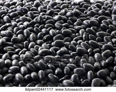 Black beans View Large Photo Image Stock Photo - Black beans. Fotosearch