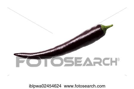 Picture - "Black chili pepper, symbolic image for genetically modified foods, photo composing". Fotosearch