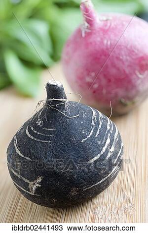 Black radish View Large Photo Image Stock Image - Black radish. Fotosearch