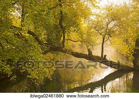 "Blau river, Swabian Alb, Baden-Wuerttemberg, Germany, Europe, PublicGround, Europe" View Large Photo Image Stock Image - "Blau river, Swabian Alb, Baden-Wuerttemberg, Germany, Europe, PublicGround, Europe". Fotosearch