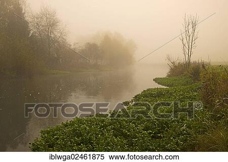 "Blau river, Swabian Alb, Baden-Wuerttemberg, Germany, Europe, PublicGround, Europe" View Large Photo Image Stock Photography - "Blau river, Swabian Alb, Baden-Wuerttemberg, Germany, Europe, PublicGround, Europe". Fotosearch