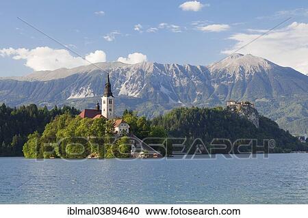 "Bled island with St. Mary's Church, Lake Bled, Bled, Slovenia, Europe" View Large Photo Image Stock Image - "Bled island with St. Mary's Church, Lake Bled, Bled, Slovenia, Europe". Fotosearch
