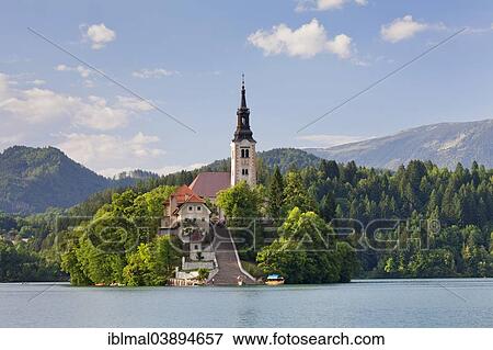 "Bled island with St. Mary's Church, Lake Bled, Bled, Slovenia, Europe" View Large Photo Image Stock Photo - "Bled island with St. Mary's Church, Lake Bled, Bled, Slovenia, Europe". Fotosearch