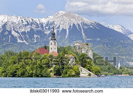 "Blejski Otok Island with St. Mary's Church in Lake Bled and The Karawanks mountain range in Bled, Slovenia, Europe, Bled, Upper Carniola, Slovenia, Europe" View Large Photo Image Stock Image - "Blejski Otok Island with St. Mary's Church in Lake Bled and The Karawanks mountain range in Bled, Slovenia, Europe, Bled, Upper Carniola, Slovenia, Europe". Fotosearch