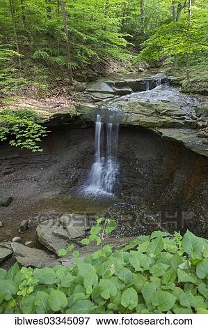 "Blue Hen Falls, Cuyahoga Valley National Park, Ohio, United States, North America" View Large Photo Image Stock Photo - "Blue Hen Falls, Cuyahoga Valley National Park, Ohio, United States, North America". Fotosearch