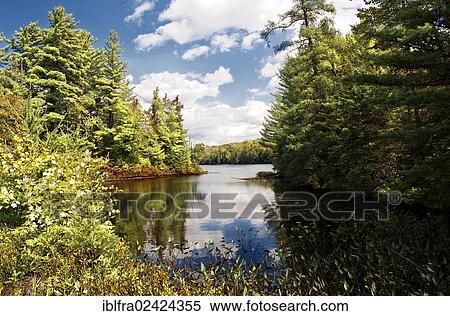 Blue Mountain Lake, Adirondack Park, State of New York, USA, United States, North America View Large Photo Image Stock Photography - Blue Mountain Lake, Adirondack Park, State of New York, USA, United States, North America. Fotosearch