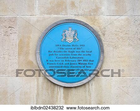 Stock Image - "Blue plaque marking the pub in Cambridge where Watson and Crick announced their discovery of how DNA carries information, Cambridge, England, United Kingdom, Europe". Fotosearch