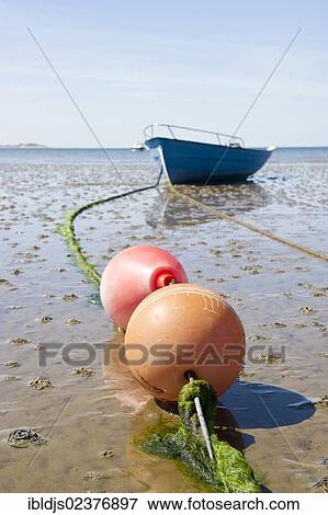 "Blue rowing boat on the beach of Utersum, Foehr island, North Frisia, Schleswig-Holstein, Germany, Europe" View Large Photo Image Stock Photo - "Blue rowing boat on the beach of Utersum, Foehr island, North Frisia, Schleswig-Holstein, Germany, Europe". Fotosearch