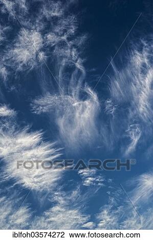 "Blue sky with cirrus clouds, Versmold, North Rhine-Westphalia, Germany, Europe" View Large Photo Image Stock Image - "Blue sky with cirrus clouds, Versmold, North Rhine-Westphalia, Germany, Europe". Fotosearch