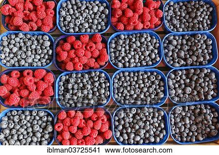 "Blueberries and raspberries in bowls at a market stall, Klagenfurt, Carinthia, Austria, Europe" View Large Photo Image Stock Image - "Blueberries and raspberries in bowls at a market stall, Klagenfurt, Carinthia, Austria, Europe". Fotosearch