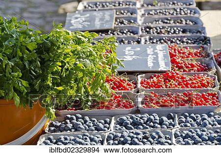 "Blueberries and red currants for sale at the weekly market, Dresden, Saxony, Germany, Europe" View Large Photo Image Picture - "Blueberries and red currants for sale at the weekly market, Dresden, Saxony, Germany, Europe". Fotosearch
