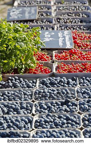 Stock Photography - "Blueberries and red currants for sale at the weekly market, Dresden, Saxony, Germany, Europe". Fotosearch