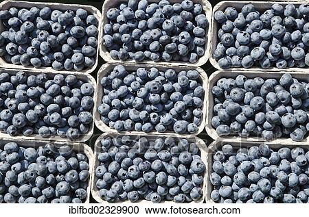 Stock Image - "Blueberries for sale at the weekly market, Dresden, Saxony, Germany, Europe". Fotosearch