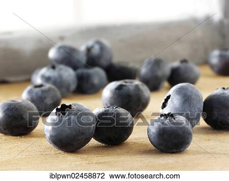 Blueberries View Large Photo Image Stock Image - Blueberries. Fotosearch