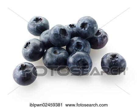 Stock Image - Blueberries. Fotosearch