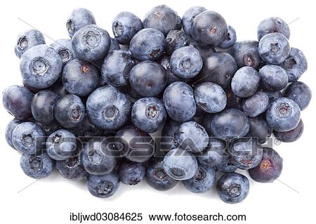 Stock Photography - Blueberries. Fotosearch