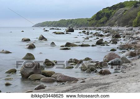 "Bluffs on the Baltic Sea coast, stones and rocks in the sea, Dranske, Mecklenburg-Western Pomerania, Germany, Europe" View Large Photo Image Stock Photography - "Bluffs on the Baltic Sea coast, stones and rocks in the sea, Dranske, Mecklenburg-Western Pomerania, Germany, Europe". Fotosearch