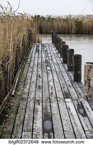 "Boardwalk, Lake Neusiedl, Burgenland, Austria, Europe" View Large Photo Image Stock Photo - "Boardwalk, Lake Neusiedl, Burgenland, Austria, Europe". Fotosearch
