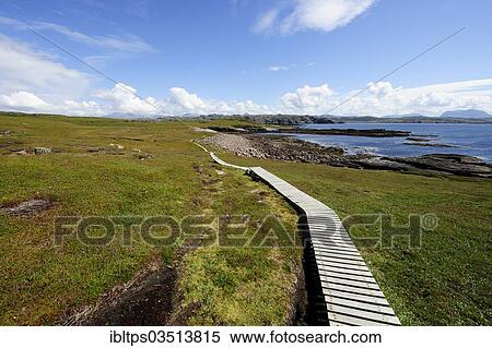 "Boardwalk leading through the marshy areas around the island of Handa, Scourie, Scotland, United Kingdom, Europe" View Large Photo Image Stock Photography - "Boardwalk leading through the marshy areas around the island of Handa, Scourie, Scotland, United Kingdom, Europe". Fotosearch